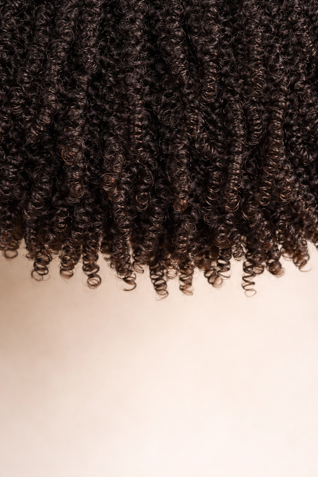 Minimalist image showing a line of tight coils along the bottom edge