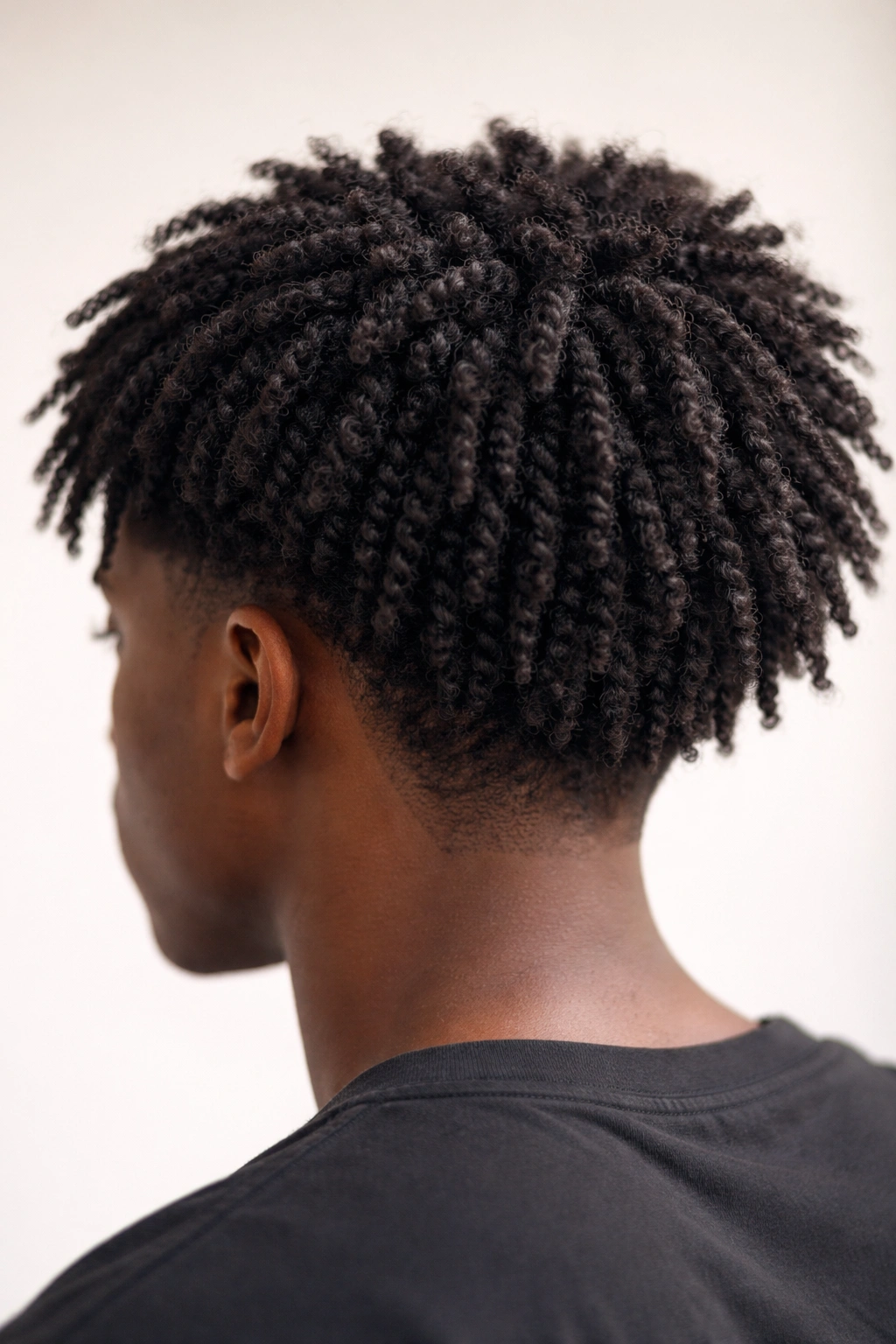 Close-up of a twisted afro featuring two-strand twists and defined texture